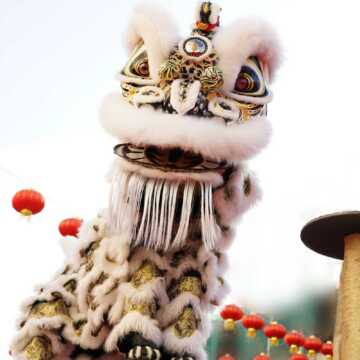 Lion,dance,performance